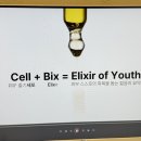 셀빅스