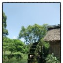 대왕농장2 이미지