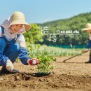 남도 행정사 사무소 이미지