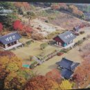 신안사로 이미지