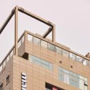 맹그로브 신설 이미지