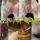금나래동물병원 이미지