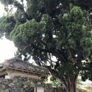 김석윤가옥 이미지