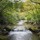 하늘다리 시즌2 | 순창 강천산 등산코스 현수교 출렁다리 강천사 카페다원 구장군폭포
