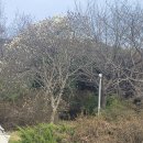 각원사약수 이미지