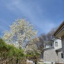 횡성산울림오토캠핑장 | 횡성 캠핑장 산수향야영장 — 1박 2일 계곡 힐링 찐후기