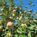 보민농장 이미지