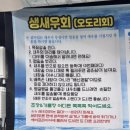 원빈수산 | 팔딱 팔딱 싱싱한 활새우를 구매할 수 있는 곳 내돈내산 후기 "원빈수산"
