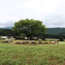 메밀꽃필무렵 이미지