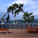 가포수변오토캠핑장 이미지