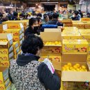 대구청과시장 이미지