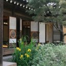 민들레울 이미지