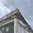 사이버스페이스 | 블루엘리펀트 스페이스 제주 방문 후기