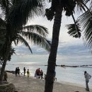광고X[2022 세부 2일차-오슬롭, 캐녀닝,야시장](꿀팁!!)저렴하게 예약하는 방법, 인생사진스팟