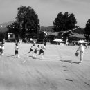 화성초등학교 이미지