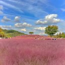 신소양체육공원화장실(주차장) 이미지