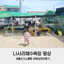 후리횟집 | 울산 스노쿨링 나사리해수욕장 평상 대여 가격 후기 샤워시설 화장실 취사 가능