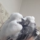 (주)비올 | 탈모관리가 필요할때 탈모샴푸추천 스카비올 캡슐샴푸