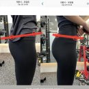 선샤인 피티샵 이미지