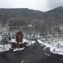 충북알프스자연휴양림 이미지