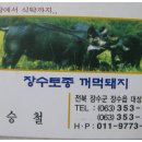장수흙돼지 이미지