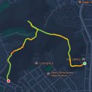 봉제산 강서다목적체육관 | [매봉산-봉제산 등산코스] 강서구 등산, 초보에게 강추! ⛰️