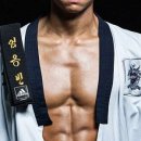 노화태권도 이미지