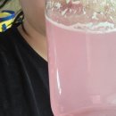 홍해에너지 | 하이뮨 아미노포텐 워터플러스 후기 운동음료추천