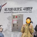 담미온 | 송파성인태권도 국기원 승단심사 후기 (feat. 륜성인태권도, 담미온 수육국밥)