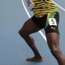 바디브릿지 이미지