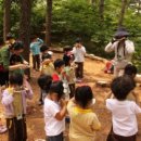 용인자연휴양림 이미지