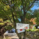 은하수캠핑관광농원