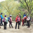 5월 정기산행 철쭉축제 『지리산 바래봉』 입니다 이미지