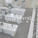 핏제이안경원 이미지