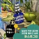 아트앤호프