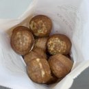 이모네생선찜 주말 예약 방법 및 꿀팁 후기 / 진고개...물회, 테라로사 본점 / 우드바우어의 밤, 삶은...