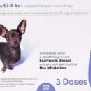 석수동물병원 이미지