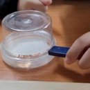 대동주상가 이미지