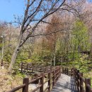 임학공원(임학정) | 계양산 등산코스- 임학공원 출발 (원점회귀)