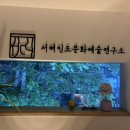 서뗘인도문화예술연구소
