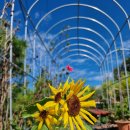 그지브로 이미지