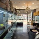 버디독 강아지분양 고양이분양 안심분양센터 서울 강서점 이미지