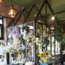 대평오리 이미지