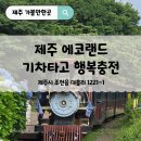 테마건강랜드 | 제주 에코랜드, 아이와 함께 다녀오기 좋은 제주도관광지