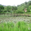 경상북도산림과학박물관 이미지