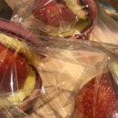 써니터틀 이미지