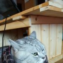 둘레길3코스민박 이미지