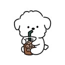 카페에이씨티