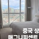 루아인터내셔널