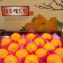 백록담제주특산품